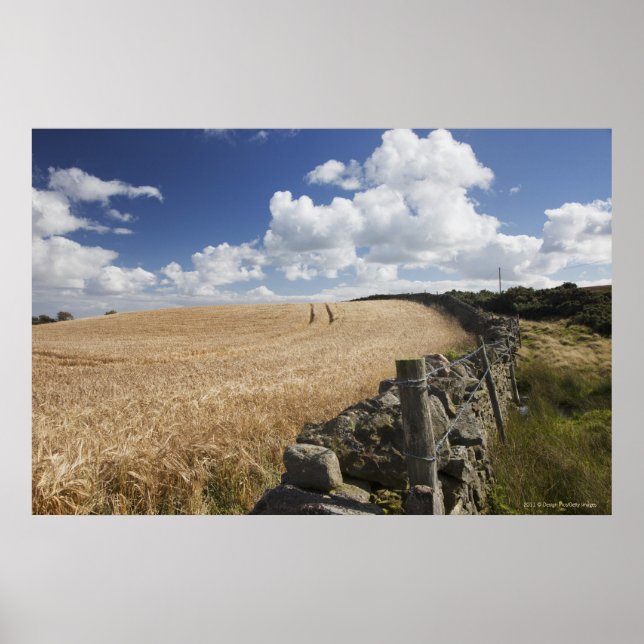 A Barbed Wire Fence Built Along A Stone Fence Poster (Front)