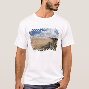 A Barbed Wire Fence Built Along A Stone Fence T-Shirt