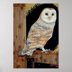 A Barn Owl rests on a barn door Poster