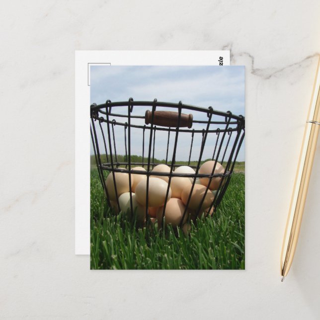 A Basket of Farm Fresh Eggs in the Grass Postcard (Front/Back In Situ)