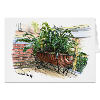 A basket of ferns