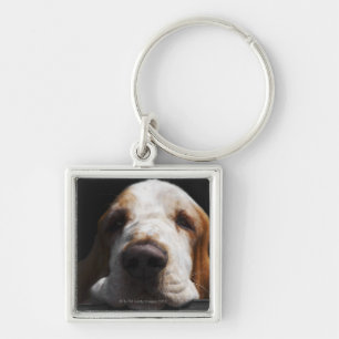 A Basset Hound resting his head Key Ring