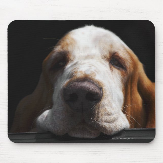 A Basset Hound resting his head Mouse Pad (Front)