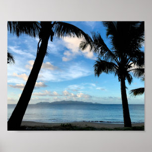 A beach in Fiji Poster