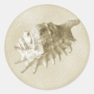 A Beach Wedding Seashell Sticker (Gold)