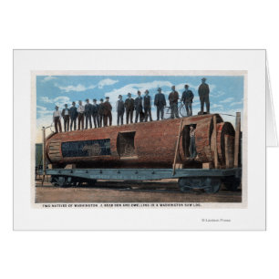 A Bear Cage and Dwelling in a Huge Saw Log