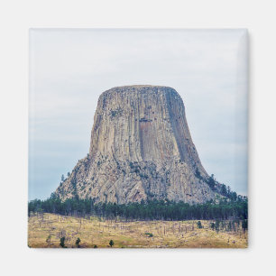 A Bear's Home Magnet