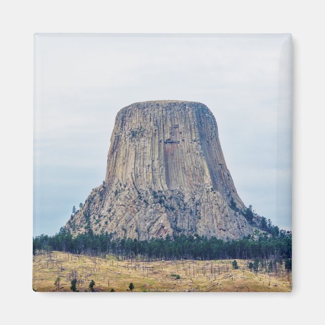 A Bear's Home Magnet (Front)