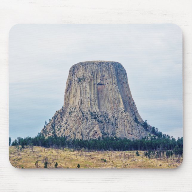 A Bear's Home Mouse Pad (Front)