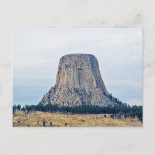 A Bear's Home Postcard