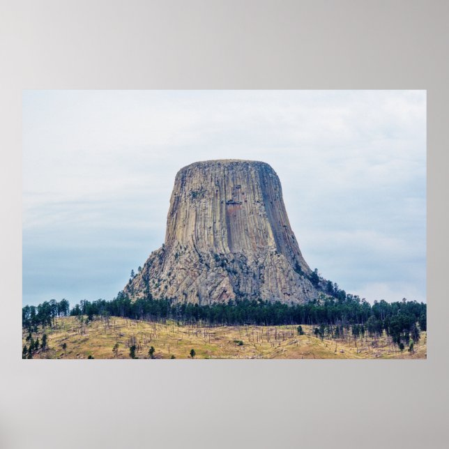 A Bear's Home Poster (Front)