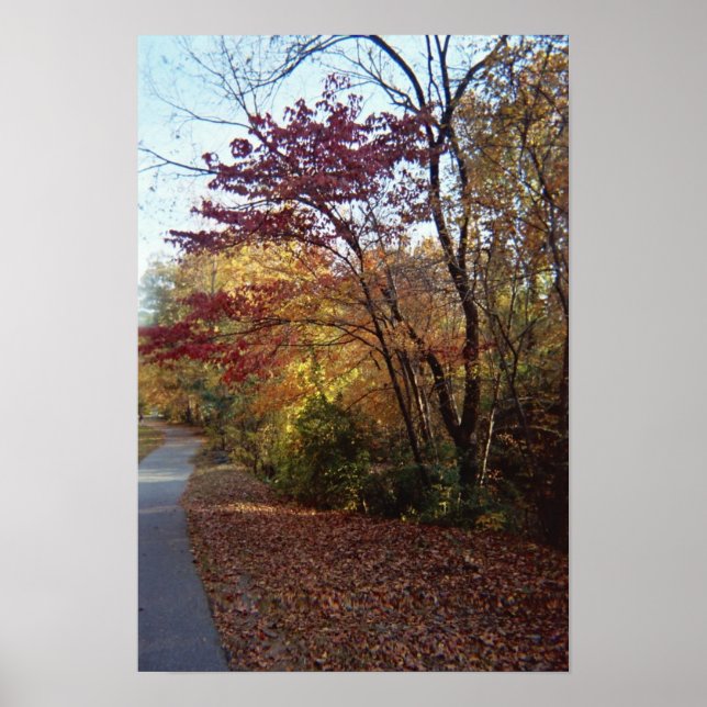 A Beautiful Arbor Poster (Front)