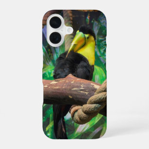 a beautiful black and yellow Toucan iPhone 16 Case
