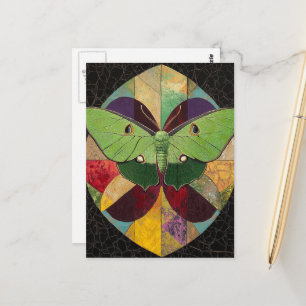 A Beautiful Colourful Green Moth Postcard