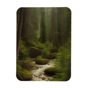 A Beautiful Forest Stream Magnet
