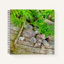 A beautiful journal with nature and affirming mess