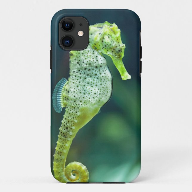 A Beautiful Knysna Seahorse Case-Mate iPhone Case (Back)