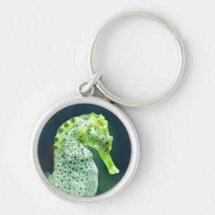 A Beautiful Knysna Seahorse Key Ring