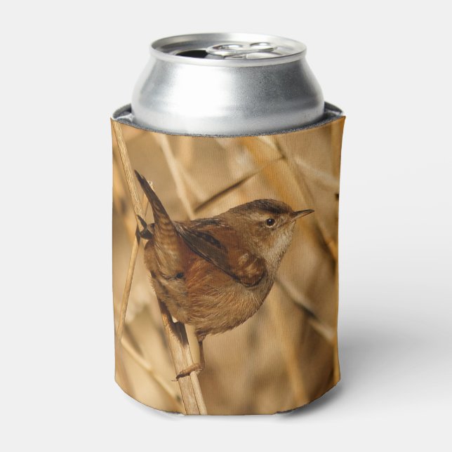 A Beautiful Marsh Wren in--Where Else?--the Marsh Can Cooler (Can Front)