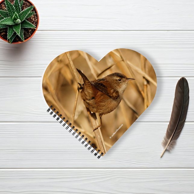 A Beautiful Marsh Wren in--Where Else?--the Marsh Notebook (Marsh Wren in the Marsh Reeds Journal Cover Photo)