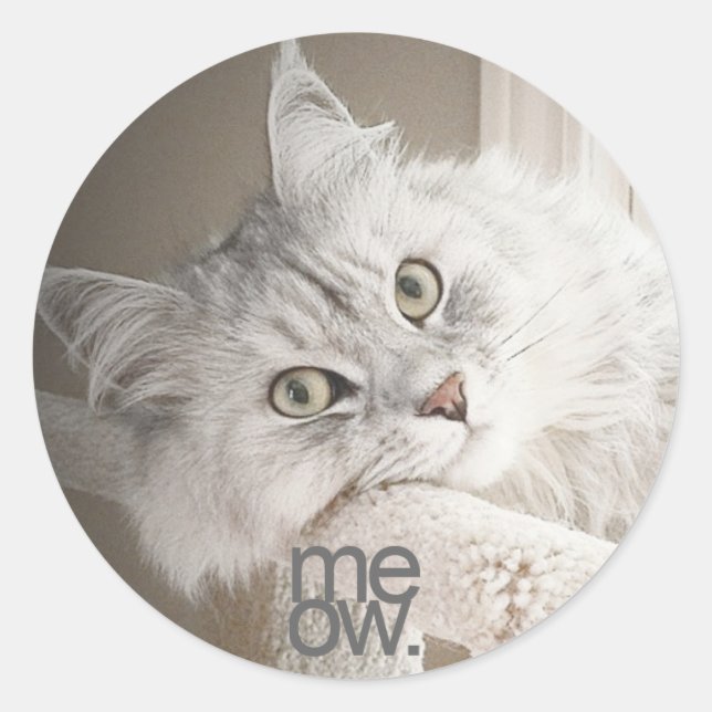A Beautiful Meow Stickers (Front)