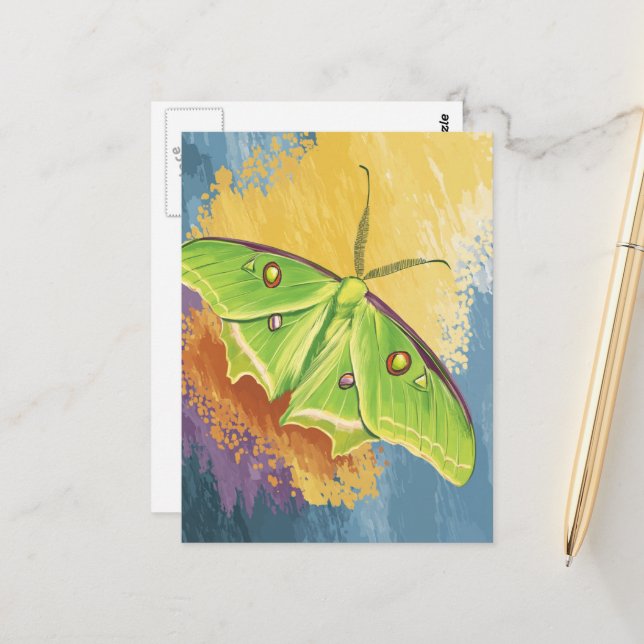 A Beautiful Moth Postcard (Front/Back In Situ)