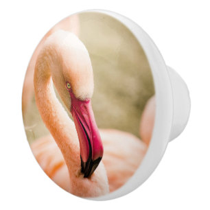 A Beautiful Pink Flamingo Ceramic Knob