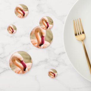 A Beautiful Pink Flamingo Confetti