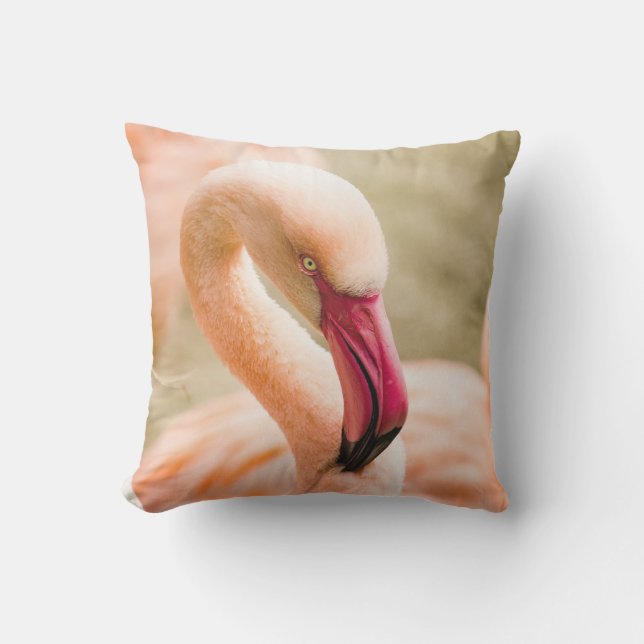 A Beautiful Pink Flamingo  Cushion (Front)