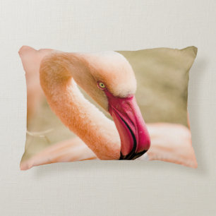 A Beautiful Pink Flamingo  Decorative Cushion