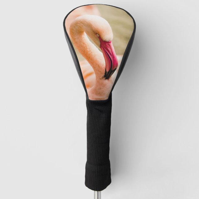 A Beautiful Pink Flamingo  Golf Head Cover (Front)