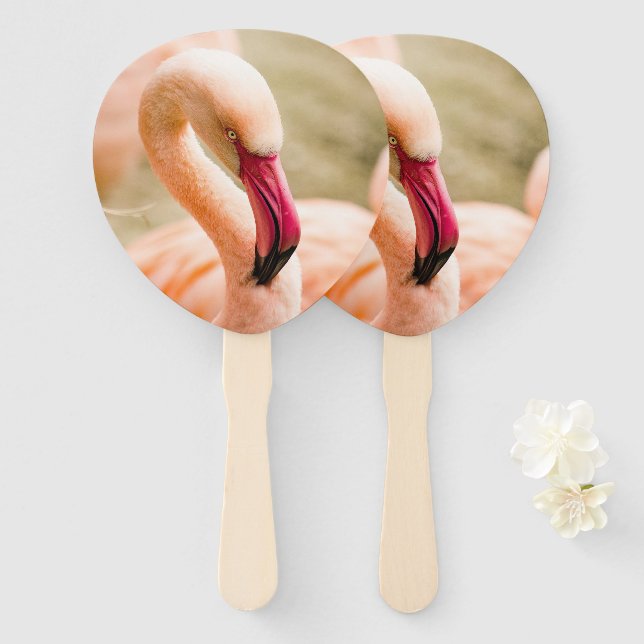 A Beautiful Pink Flamingo  Hand Fan (Front and Back)