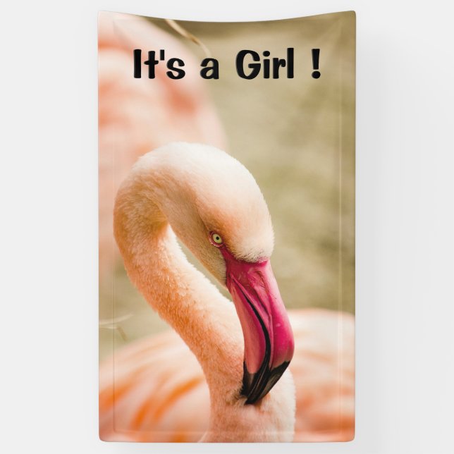 A Beautiful Pink Flamingo Its a Girl Banner (Vertical)