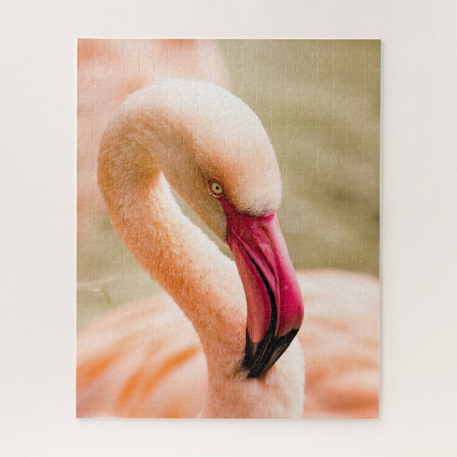 A Beautiful Pink Flamingo  Jigsaw Puzzle (Vertical)