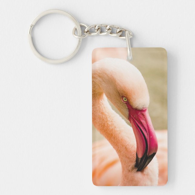A Beautiful Pink Flamingo  Key Ring (Front)