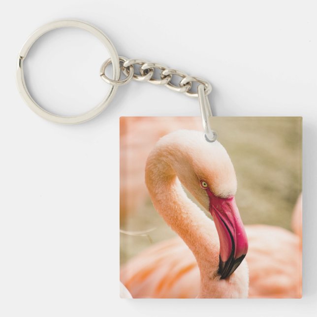 A Beautiful Pink Flamingo  Key Ring (Front)
