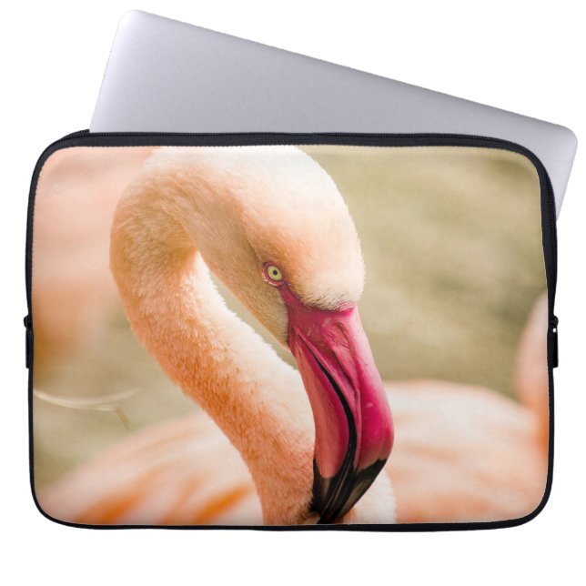 A Beautiful Pink Flamingo  Laptop Sleeve (Front)