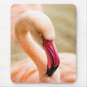 A Beautiful Pink Flamingo Mouse Pad