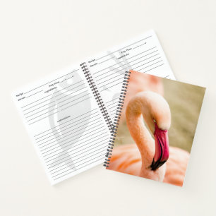A Beautiful Pink Flamingo  Notebook