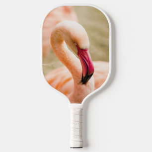 A Beautiful Pink Flamingo Pickleball Paddle