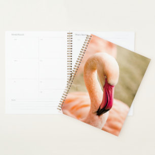 A Beautiful Pink Flamingo Planner