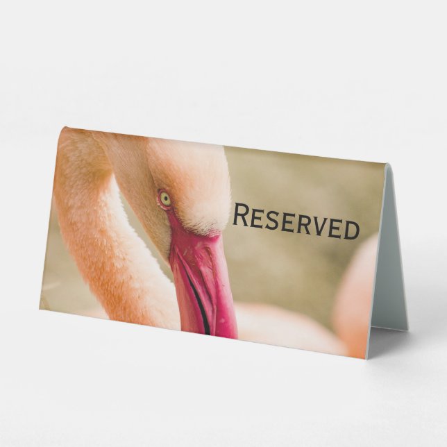 A Beautiful Pink Flamingo Reserved (Front)