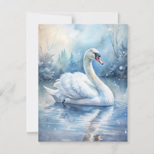 A Beautiful Swan Postcard