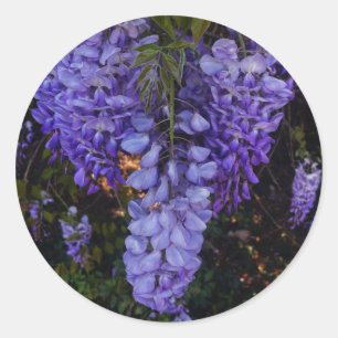 a beautiful touch of nature classic round sticker