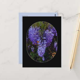 a beautiful touch of nature  postcard