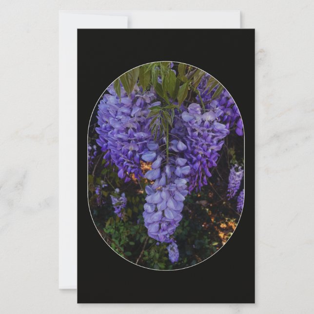 a beautiful touch of nature  stationery (Front)