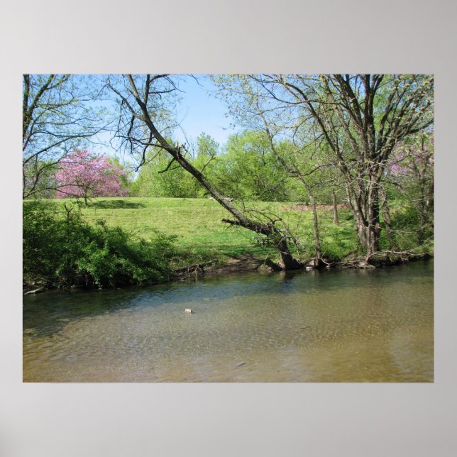 A Beautiful View of the River Poster (Front)