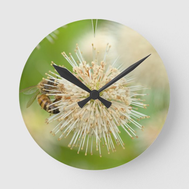 A Bee on a Flower Round Clock (Front)