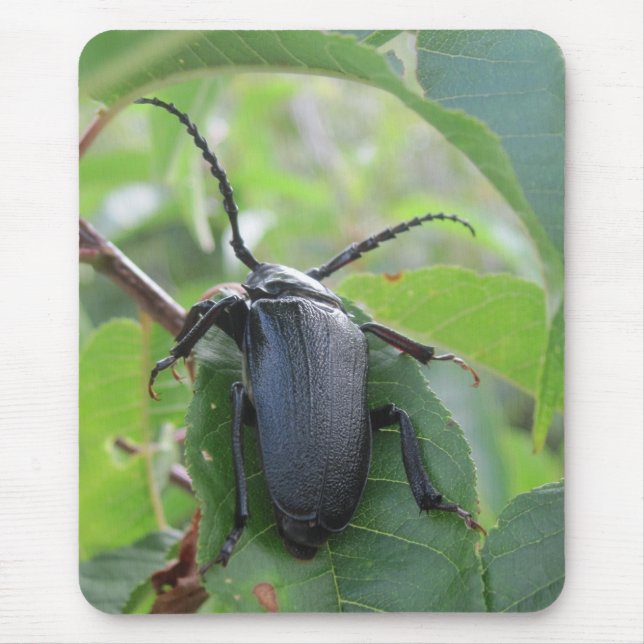 A Beetle's Journey Mouse Pad (Front)