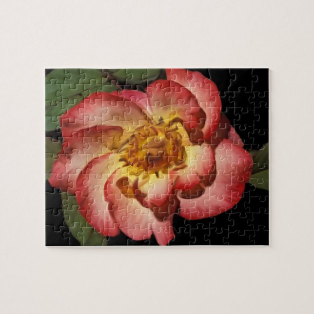 A Betty Boop Rose Puzzle (Horizontal)